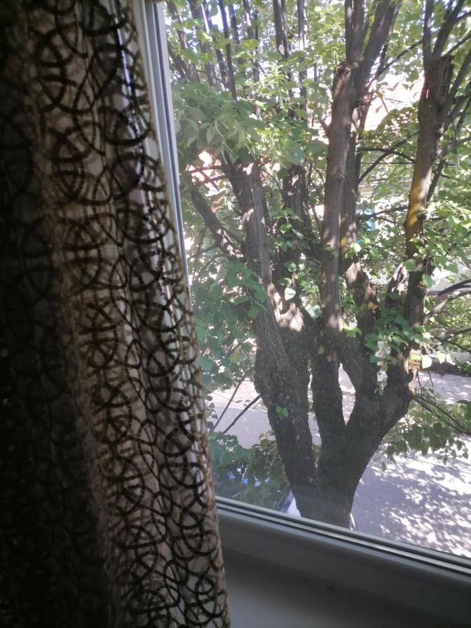 Apartmani 15 Cetynia Zewnętrze zdjęcie